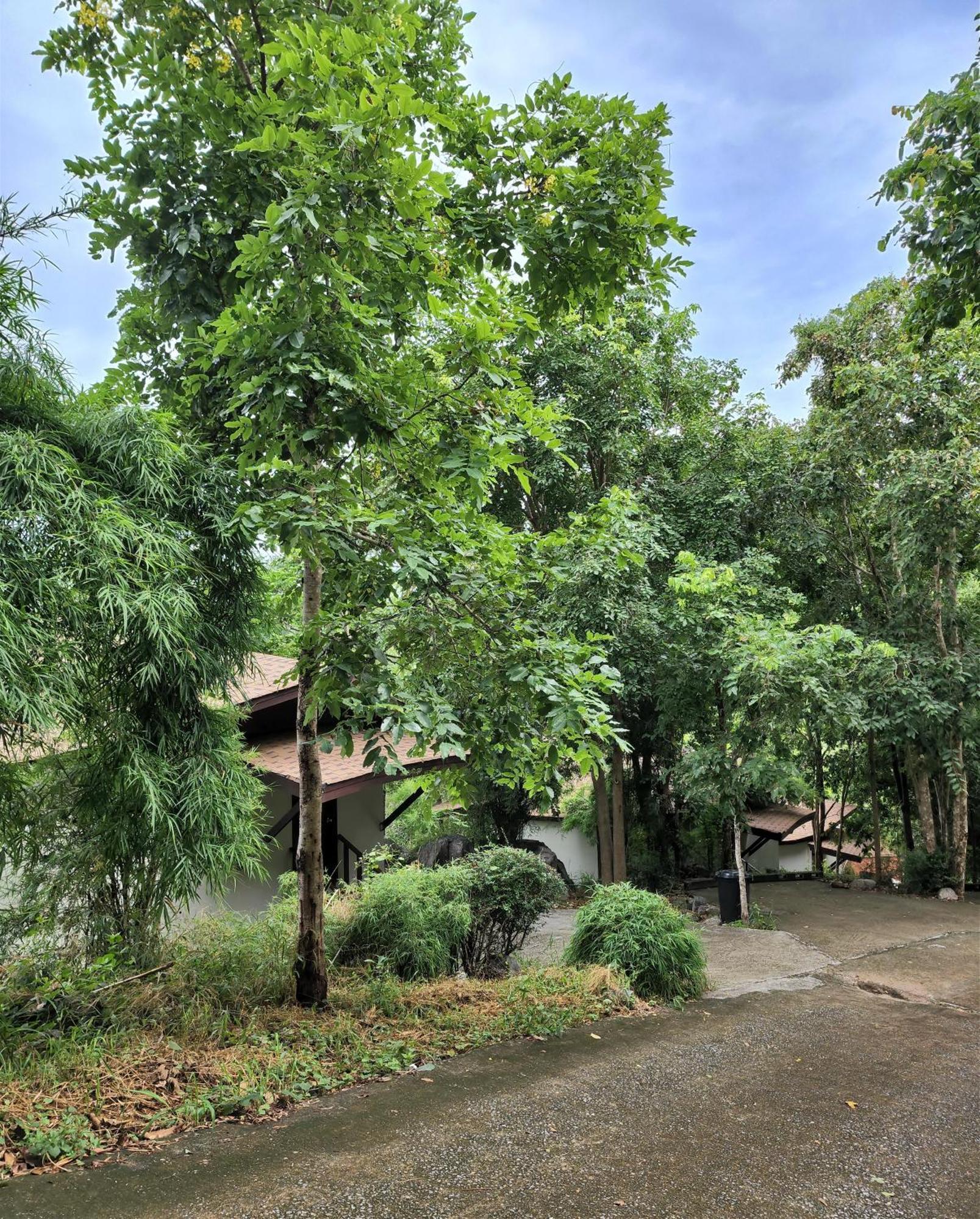 Hua Hin Home Hill Bagian luar foto